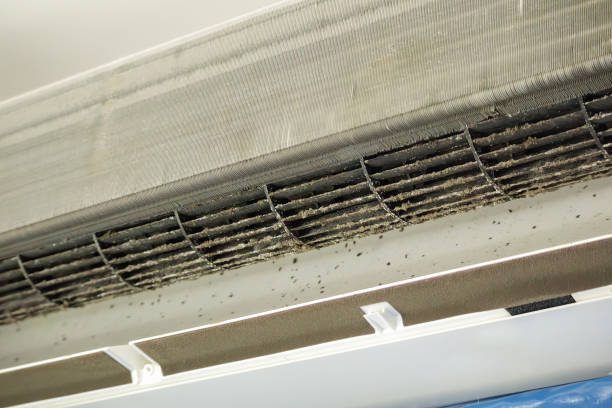 Best Local Air Duct Cleaning Services  in Neosho, MO